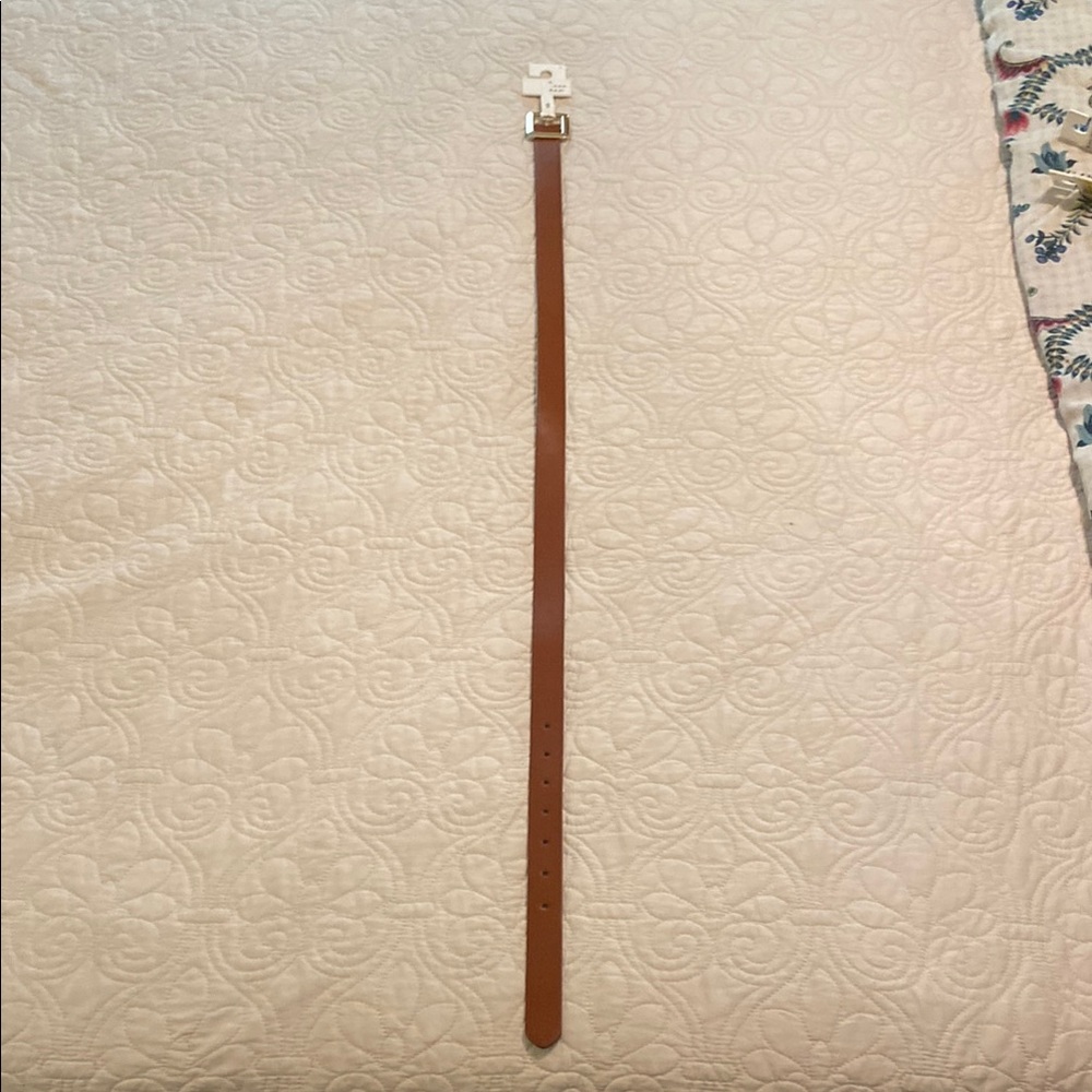 A New Day Brown Belt with Gold Buckle